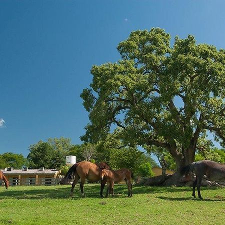 Pousada Chácara das Roseiras Bagé Exterior foto